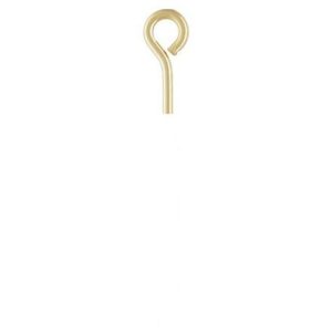 #1849 - 1/2" (22- Gauge) Gold Filled Eye Pin #1849 - 1/2" (22- Gauge) Gold Filled Eye Pin